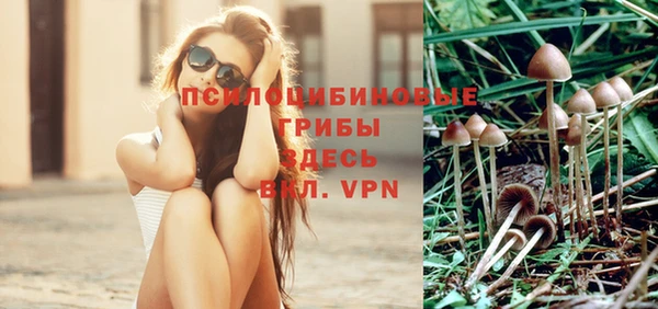 apvp Арсеньев