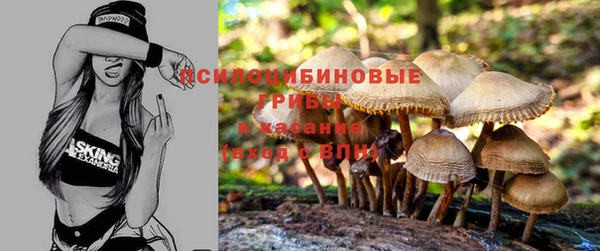 винт Балабаново