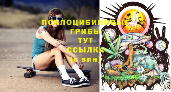 apvp Арсеньев