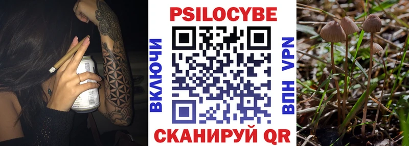 Псилоцибиновые грибы Psilocybine cubensis Уржум